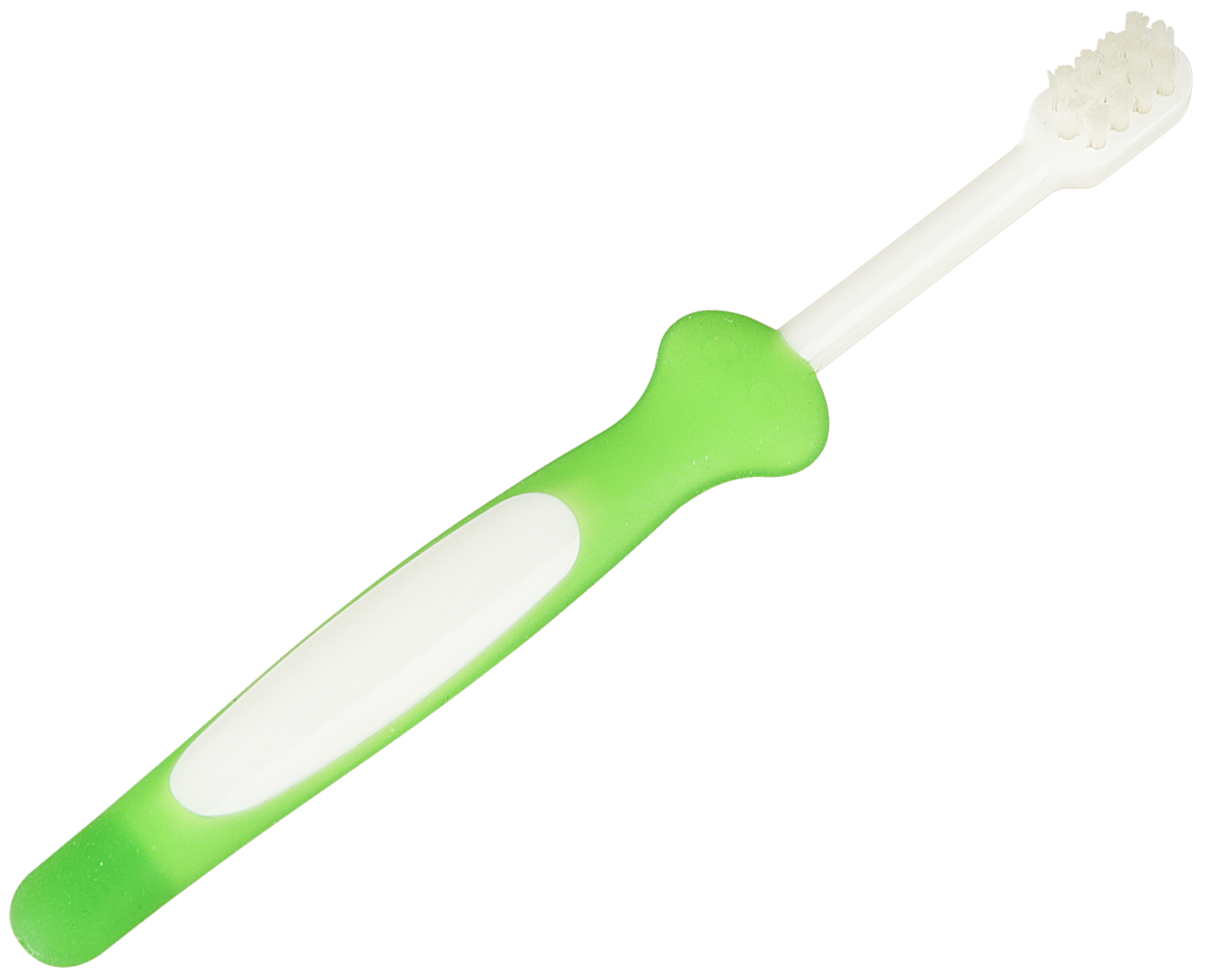 Detail Toothbrush No Background Nomer 32