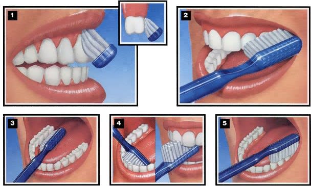 Toothbrushing Images - KibrisPDR