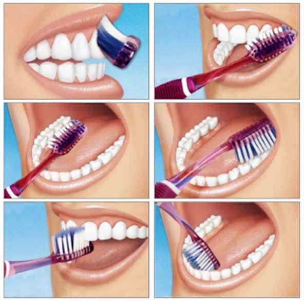 Detail Toothbrushing Images Nomer 27