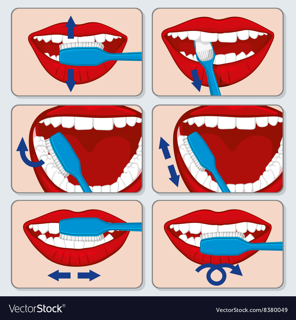 Detail Toothbrushing Images Nomer 31