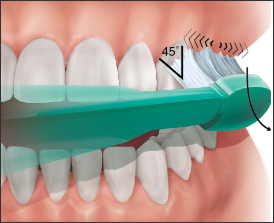 Detail Toothbrushing Images Nomer 37