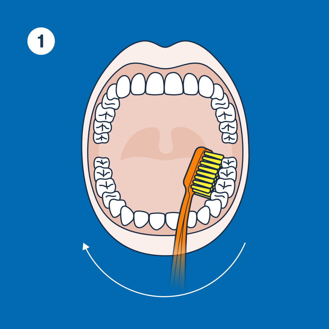 Detail Toothbrushing Images Nomer 9
