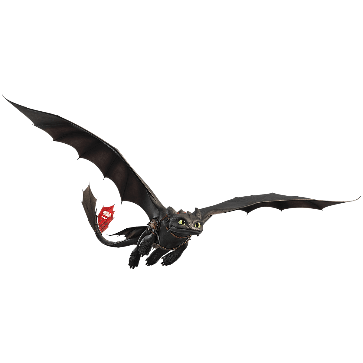 Detail Toothless Dragon Image Nomer 39