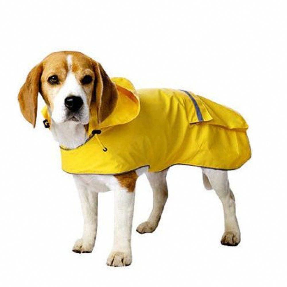 Top Paw Raincoat In A Bag - KibrisPDR