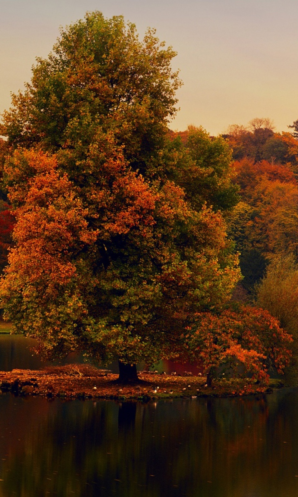 Detail Top Wallpaper For Android Nomer 31