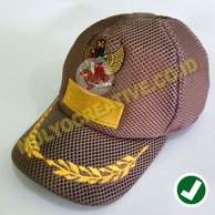 Detail Topi Kepala Gambar Burung Phoenix Nomer 35