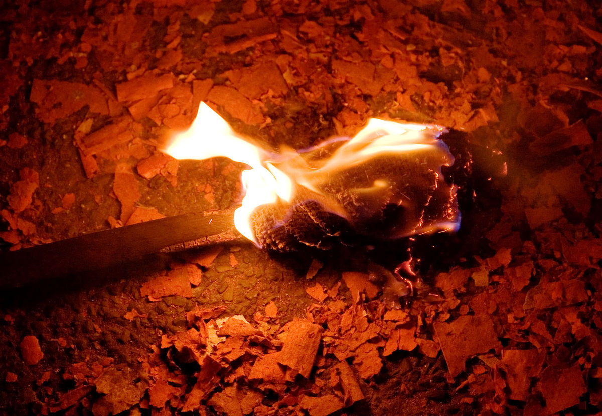 Detail Torch Fire Nomer 43