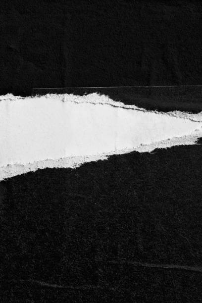 Detail Torn Paper Background Nomer 8