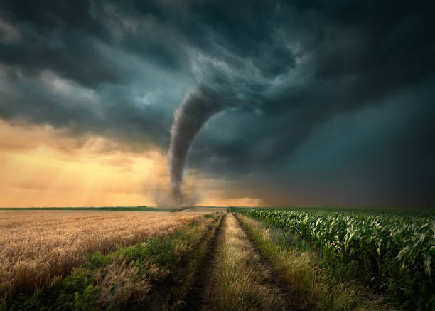 Detail Tornadoes Images Free Nomer 4