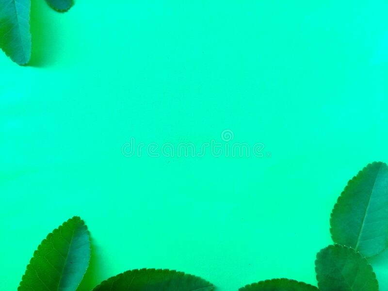 Detail Tosca Background Nomer 58