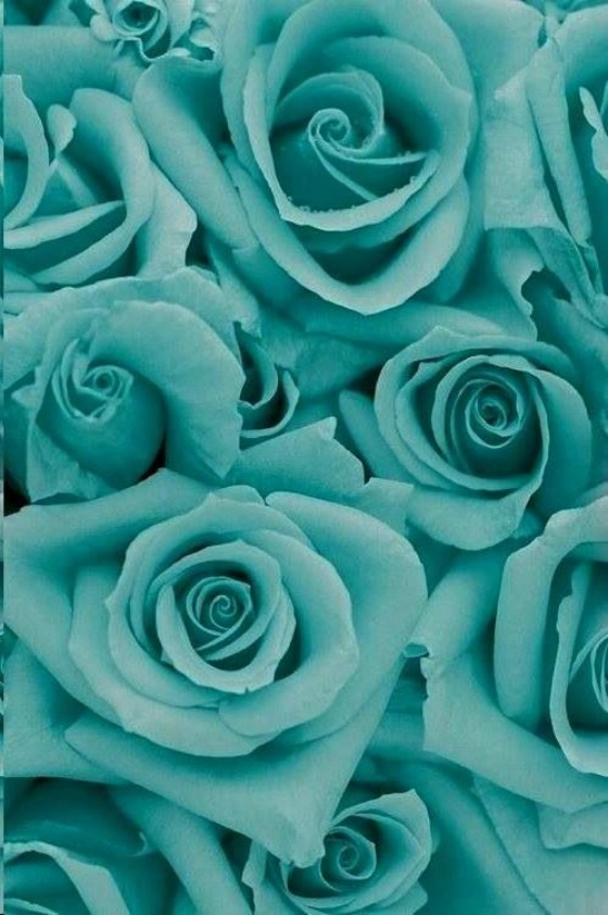 Detail Tosca Color Wallpaper Tumblr Nomer 16