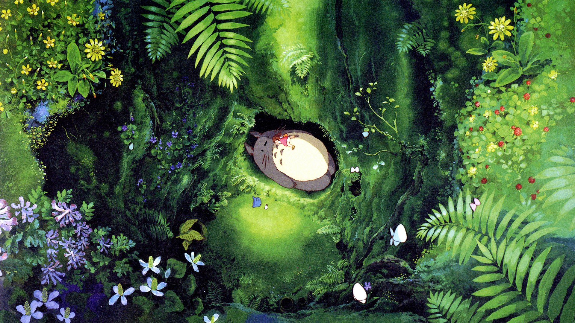 Detail Totoro Hd Wallpaper Nomer 23