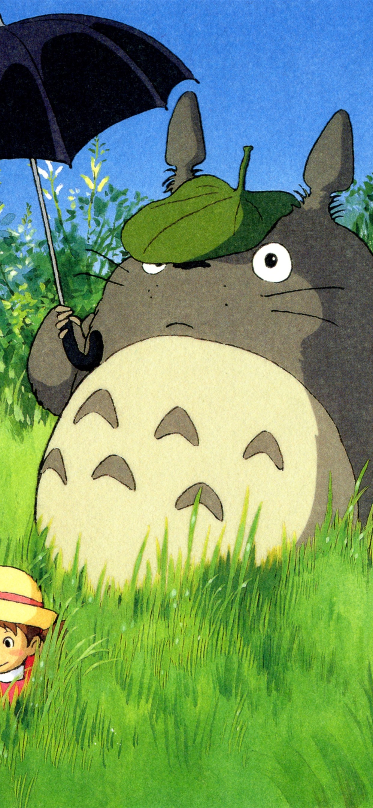 Detail Totoro Wallpaper Iphone Nomer 5