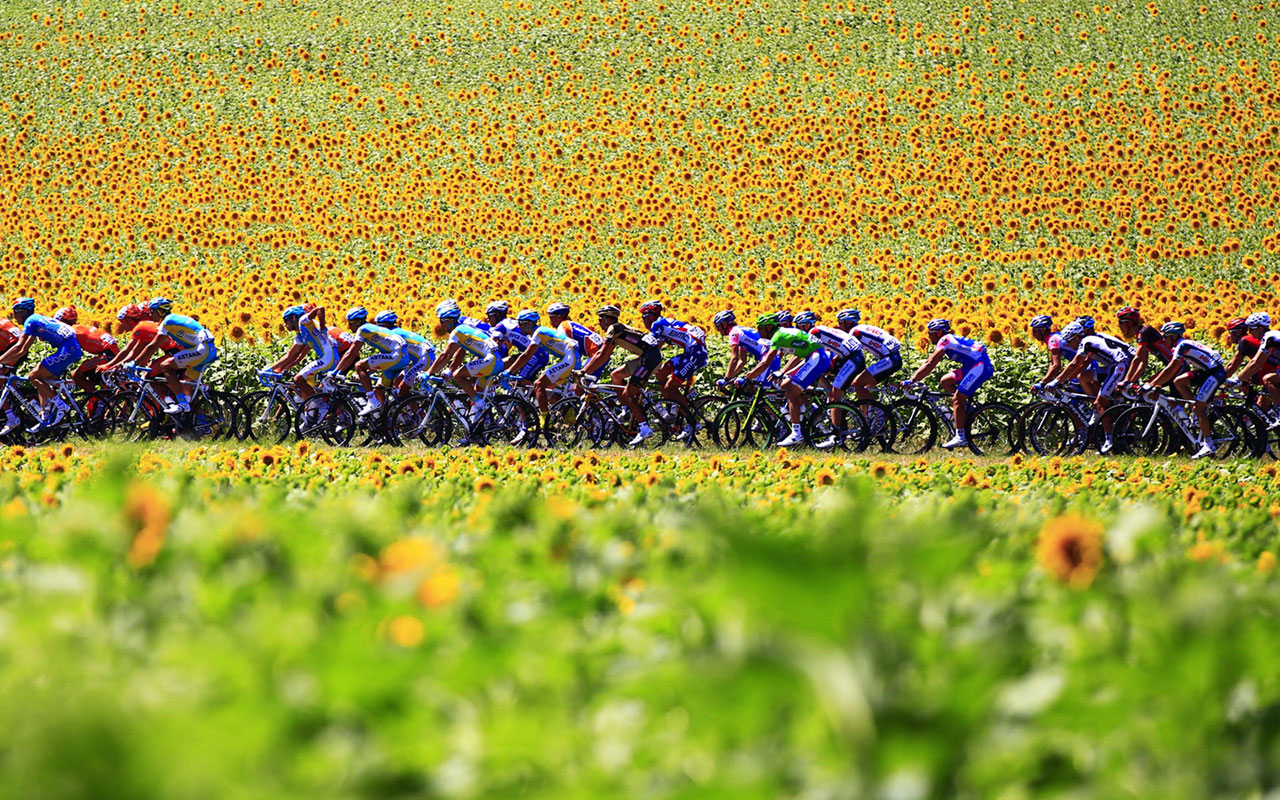 Detail Tour De France Background Nomer 27