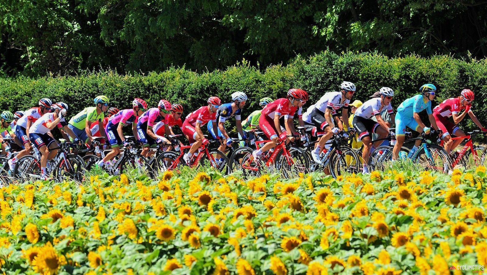 Detail Tour De France Background Nomer 34