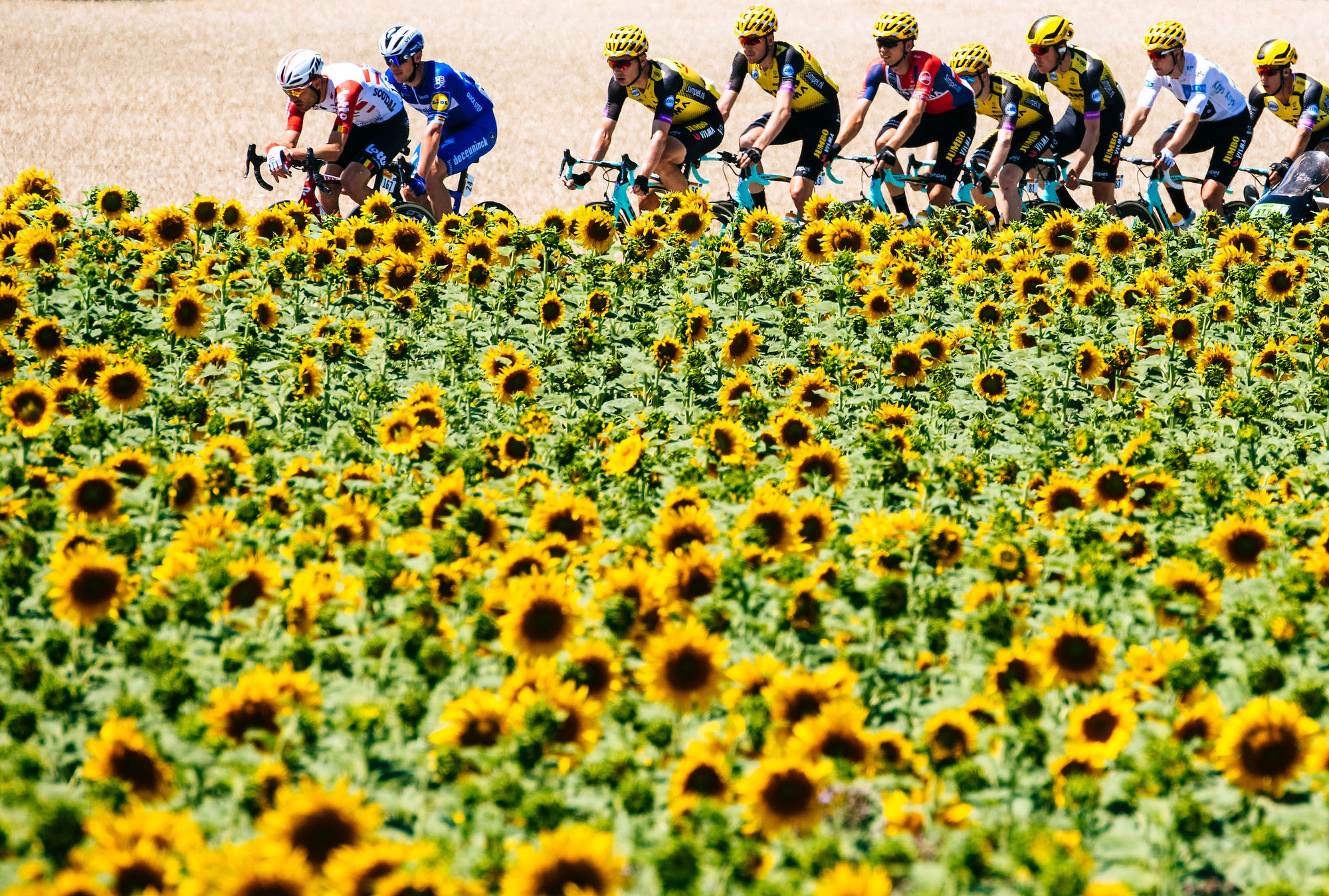 Detail Tour De France Segments Nomer 20