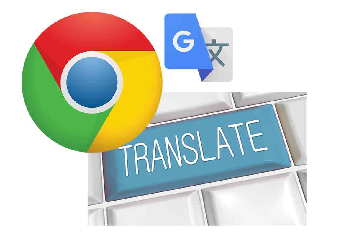 Detail Traductor Google Foto Nomer 11