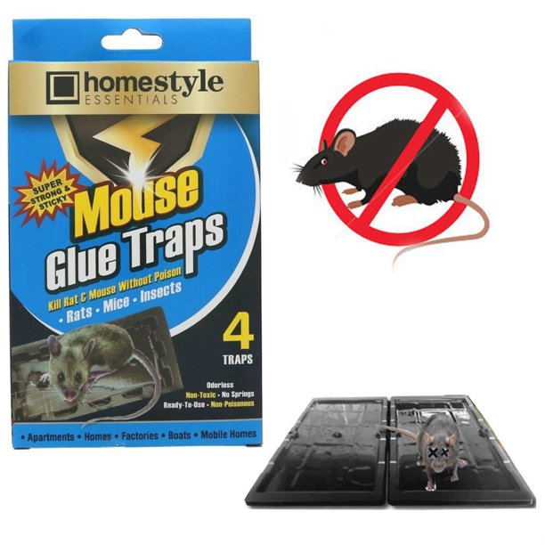 Detail Trampoline Vs Mouse Traps Nomer 17