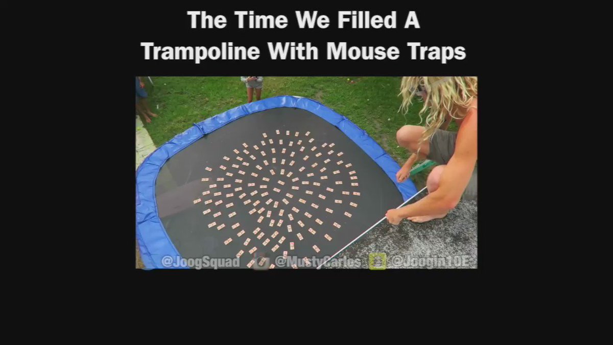 Detail Trampoline Vs Mouse Traps Nomer 35