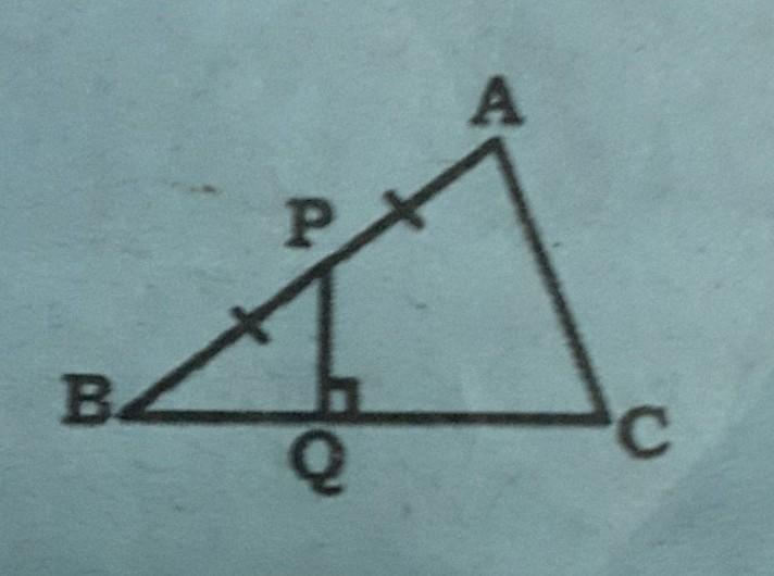 Detail Trangle Image Nomer 39