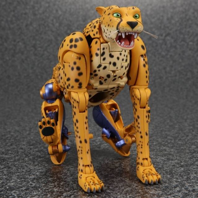 Detail Transformers Cheetah Nomer 10