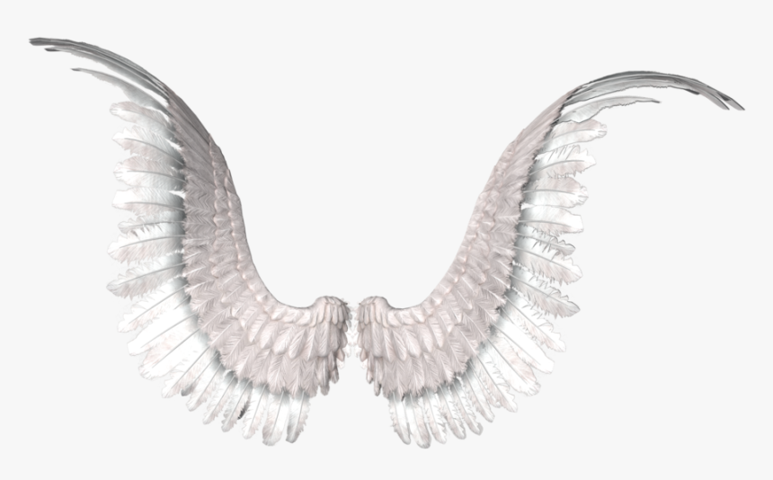 Detail Transparent Angel Wings Tumblr Nomer 16