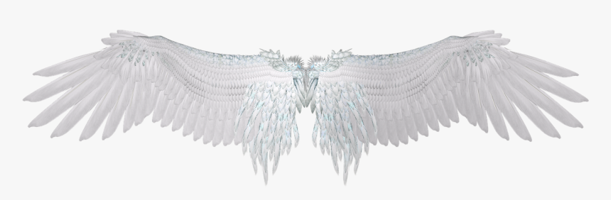 Detail Transparent Angel Wings Tumblr Nomer 18