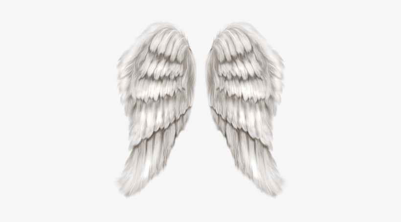 Detail Transparent Angel Wings Tumblr Nomer 23