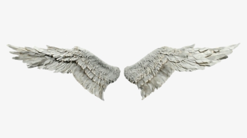 Detail Transparent Angel Wings Tumblr Nomer 24