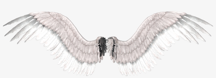 Detail Transparent Angel Wings Tumblr Nomer 25
