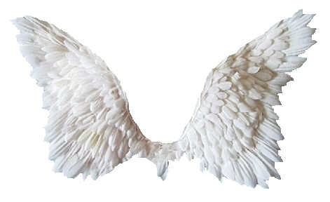 Detail Transparent Angel Wings Tumblr Nomer 27