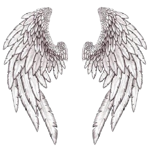 Detail Transparent Angel Wings Tumblr Nomer 33