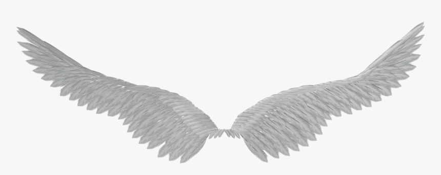 Detail Transparent Angel Wings Tumblr Nomer 5