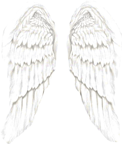 Detail Transparent Angel Wings Tumblr Nomer 38