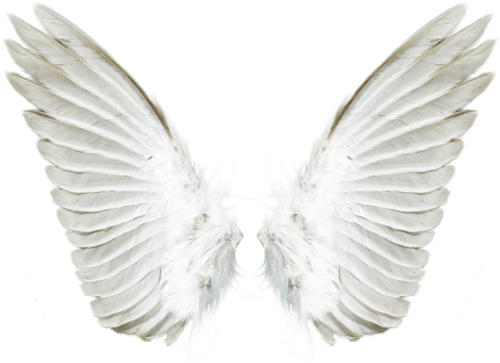 Detail Transparent Angel Wings Tumblr Nomer 39