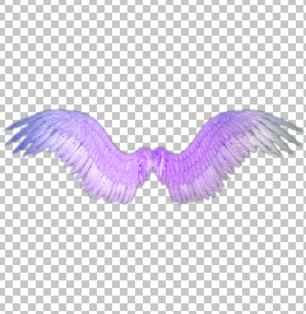 Detail Transparent Angel Wings Tumblr Nomer 44