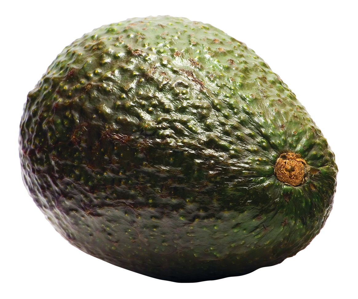 Detail Transparent Avocado Nomer 37