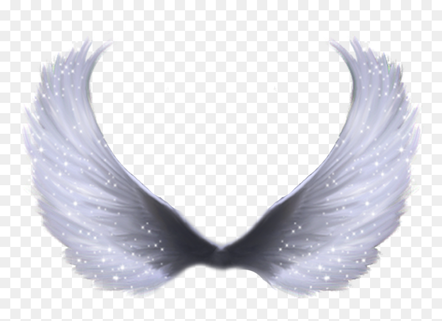 Detail Transparent Background Angel Wings Png Nomer 26