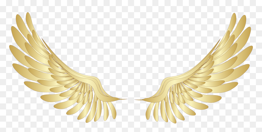 Detail Transparent Background Angel Wings Png Nomer 27