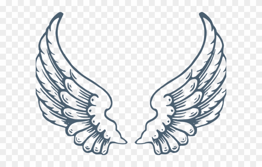 Detail Transparent Background Angel Wings Png Nomer 30