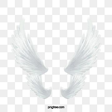 Detail Transparent Background Angel Wings Png Nomer 50
