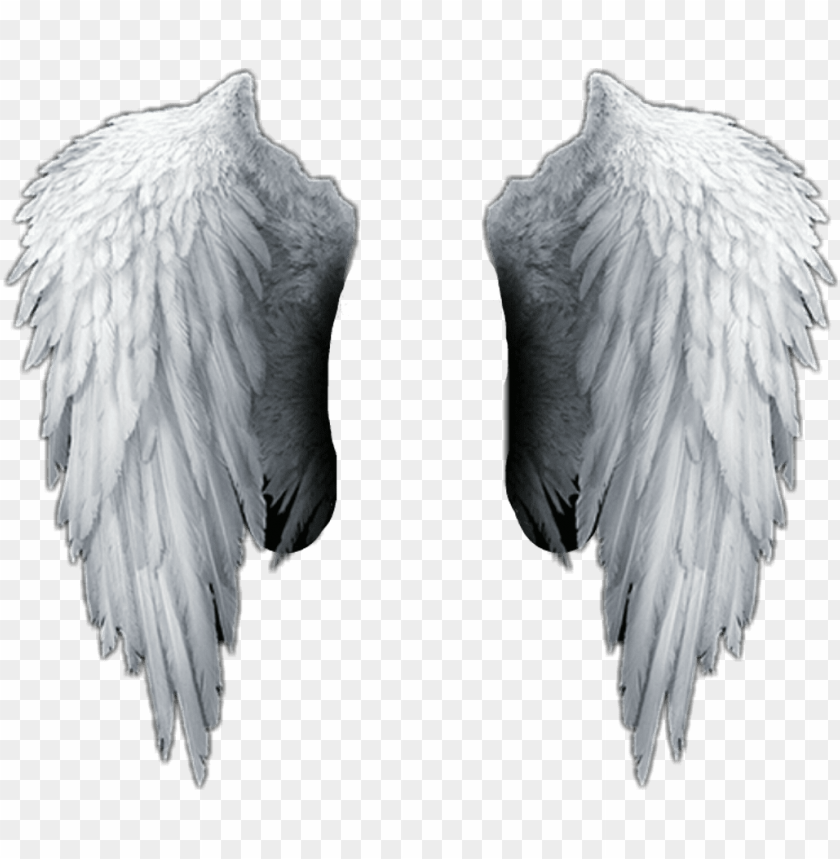 Detail Transparent Background Angel Wings Png Nomer 7