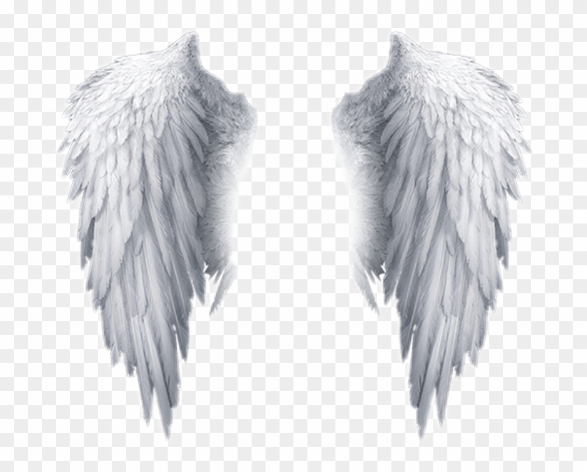 Detail Transparent Background Angel Wings Png Nomer 8