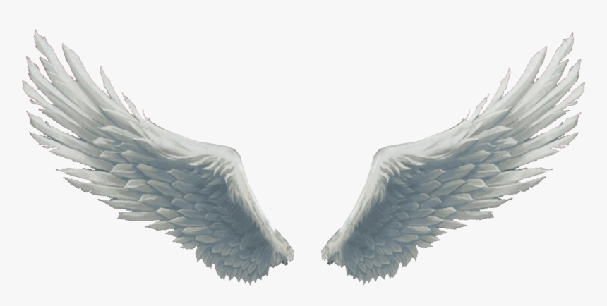 Detail Transparent Background Angel Wings Png Nomer 9