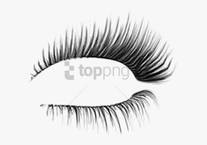 Detail Transparent Background Eyelash Png Nomer 20