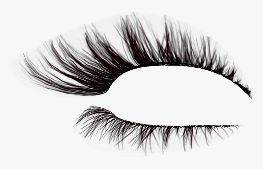 Detail Transparent Background Eyelashes Nomer 11