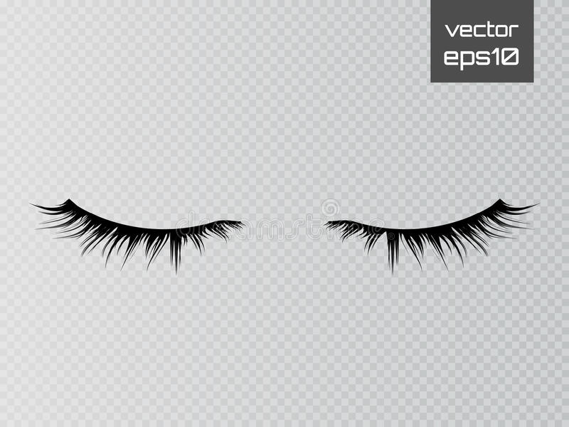 Detail Transparent Background Eyelashes Nomer 33