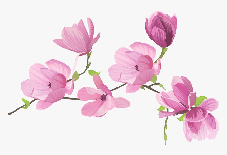 Detail Transparent Background Flower Clipart Nomer 38