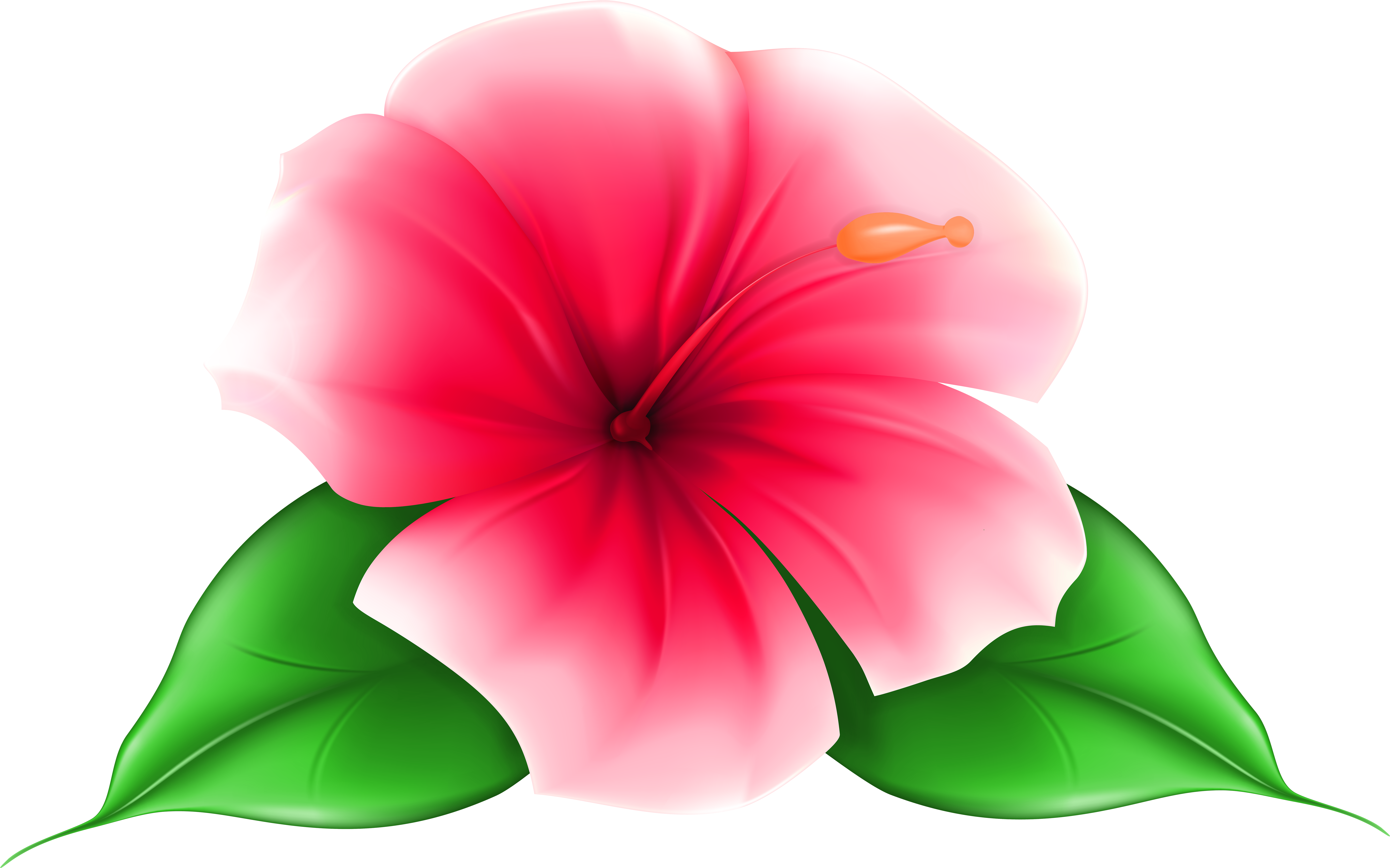 Detail Transparent Background Flower Png Nomer 29