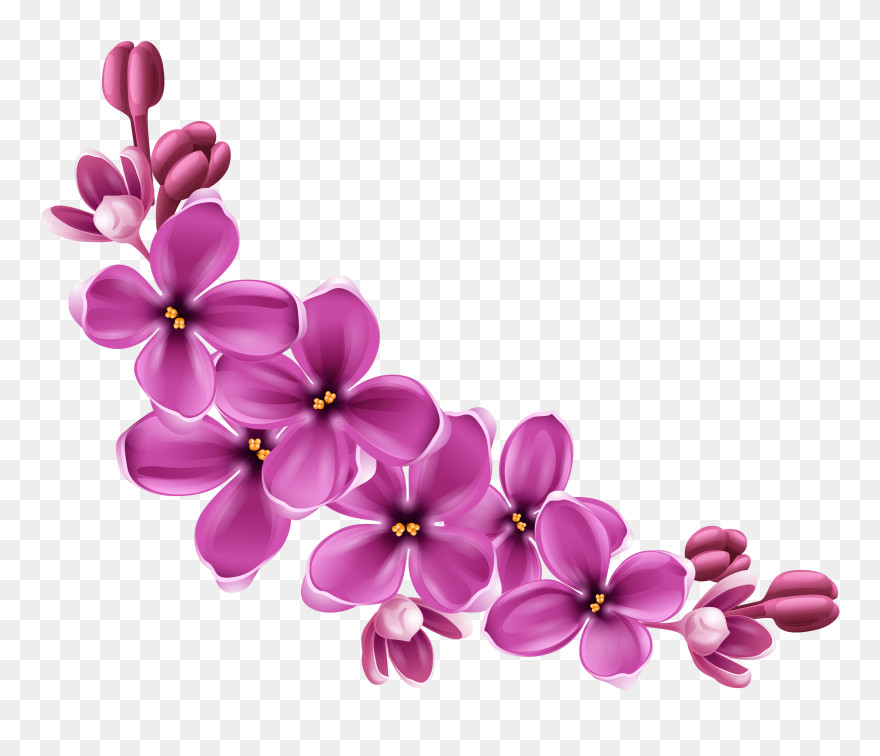 Detail Transparent Background Flower Png Nomer 30